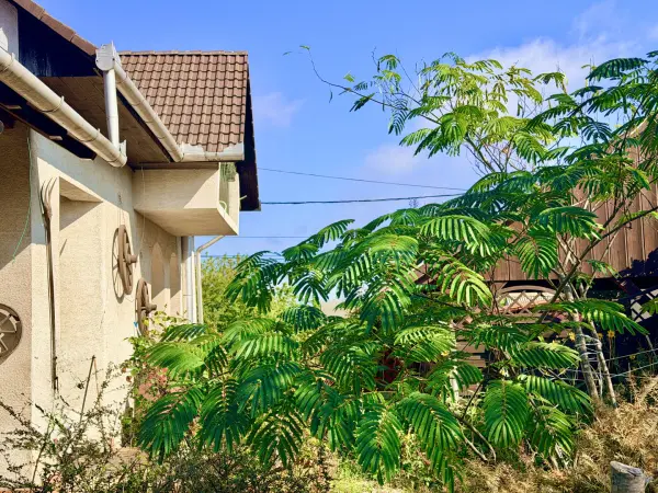 Eladó családi ház, Kecskéd 5 szoba 178 m² 92 M Ft