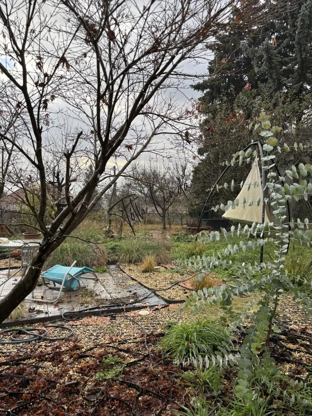 Pest megye - Nagymaros