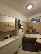 Pest megye - Nagymaros