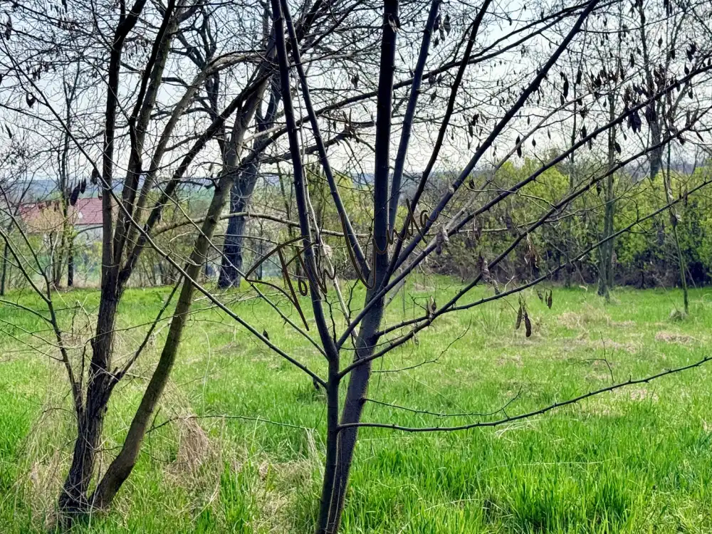 Komárom-Esztergom megye - Szákszend