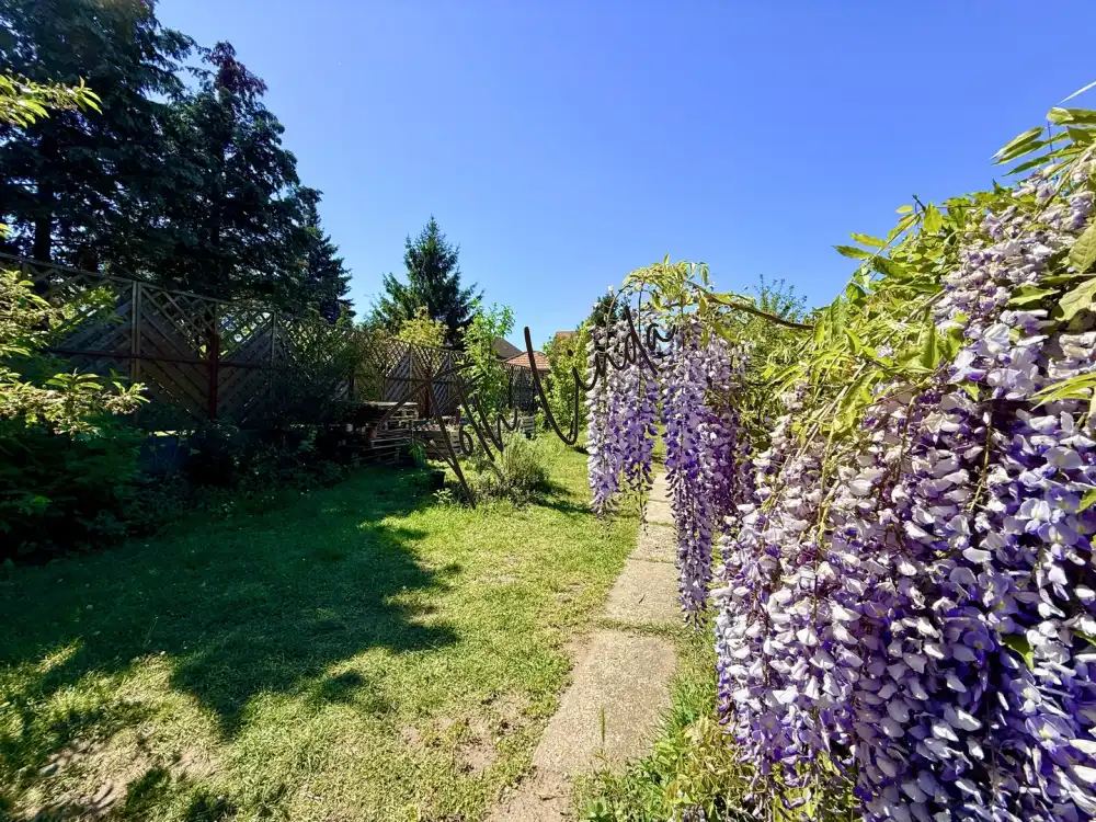 Komárom-Esztergom megye - Tatabánya