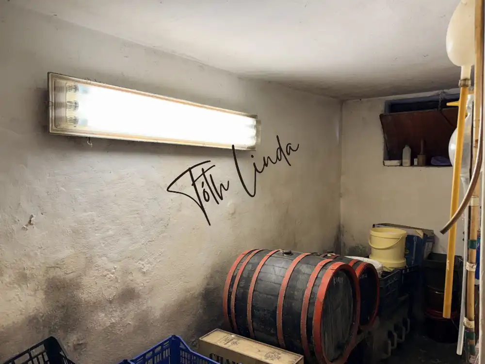 Komárom-Esztergom megye - Oroszlány