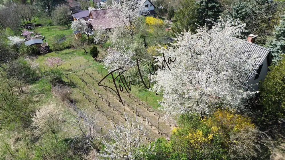 Komárom-Esztergom megye - Oroszlány