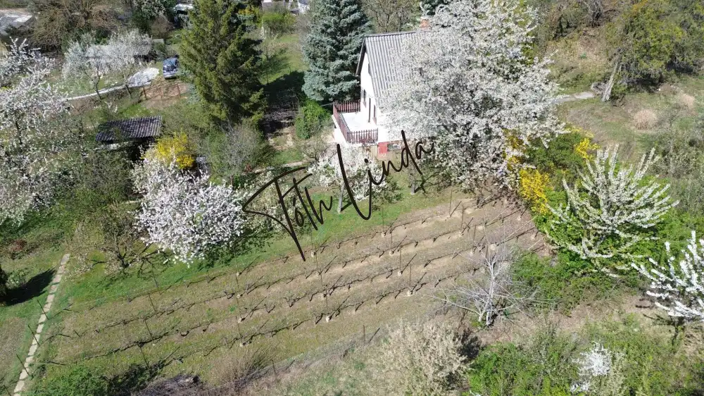 Komárom-Esztergom megye - Oroszlány