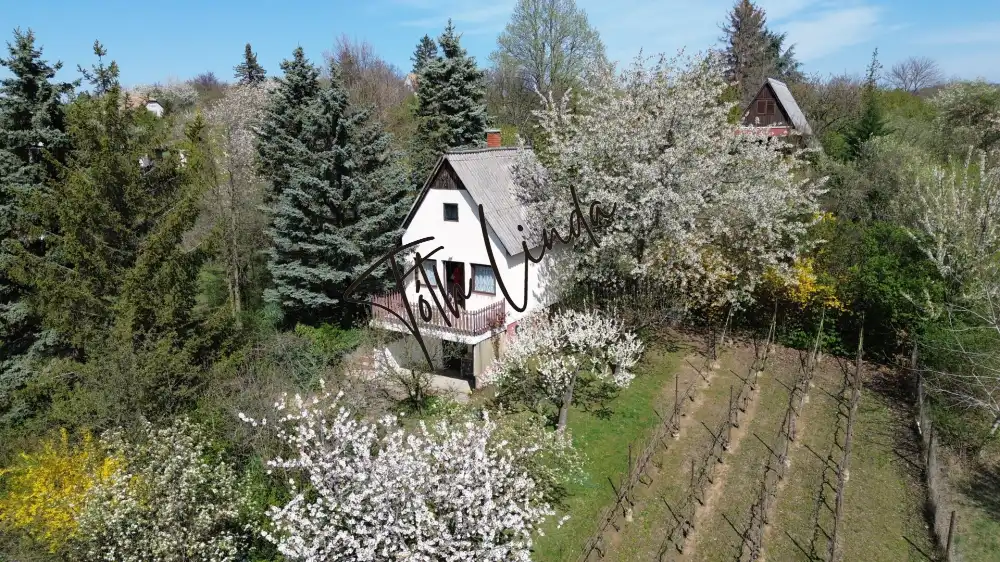 Komárom-Esztergom megye - Oroszlány