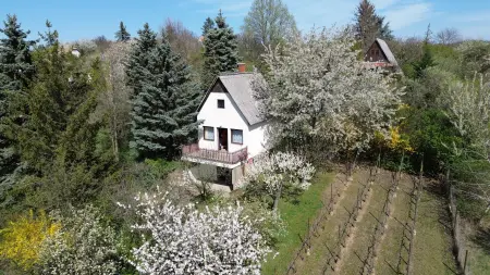 Eladó nyaraló, Oroszlány 2 szoba 40 m² 16.5 M Ft