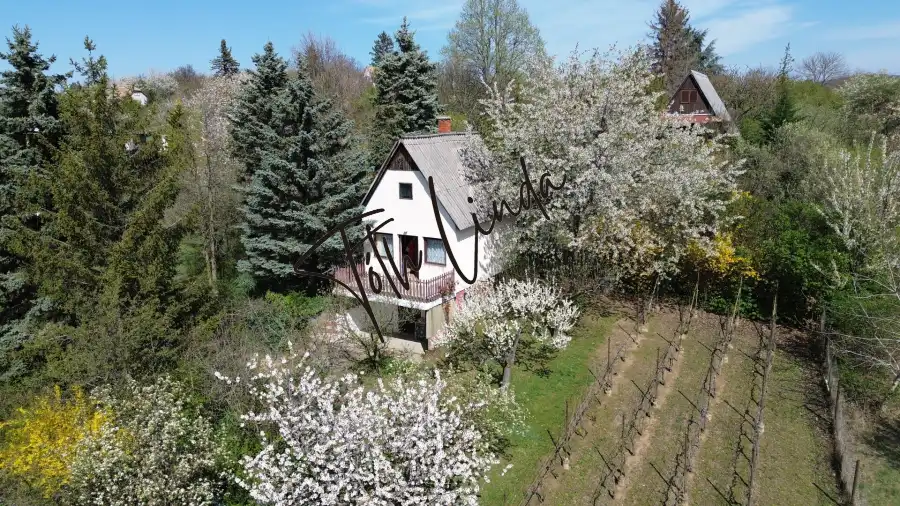 eladó nyaraló, Oroszlány