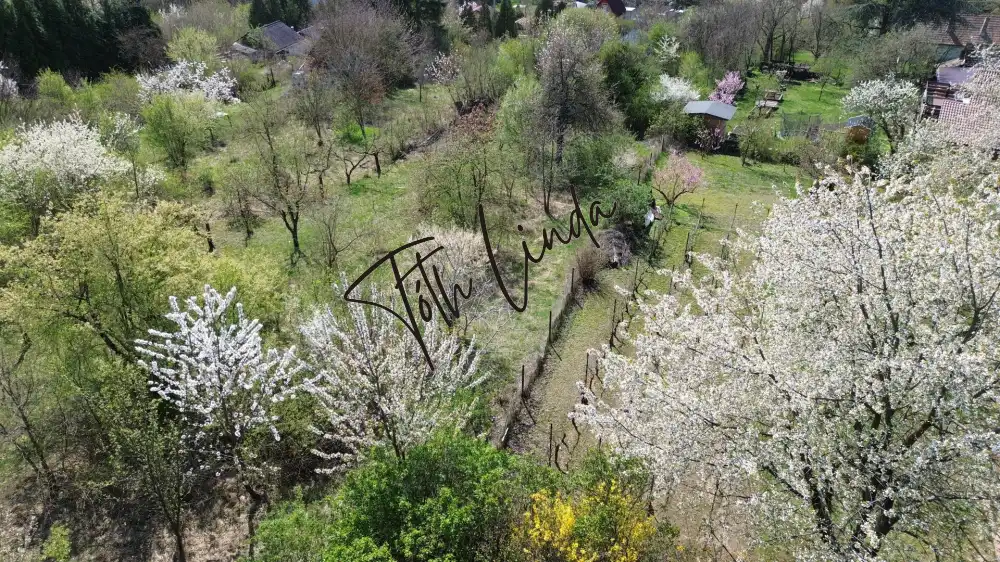 Komárom-Esztergom megye - Oroszlány