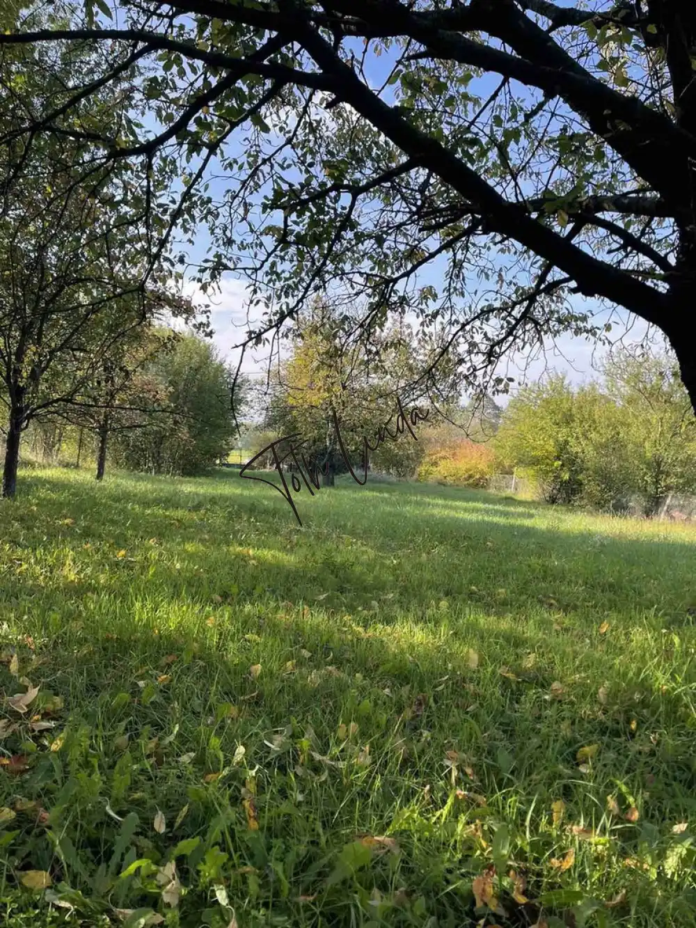 Komárom-Esztergom megye - Oroszlány