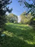 Komárom-Esztergom megye - Oroszlány