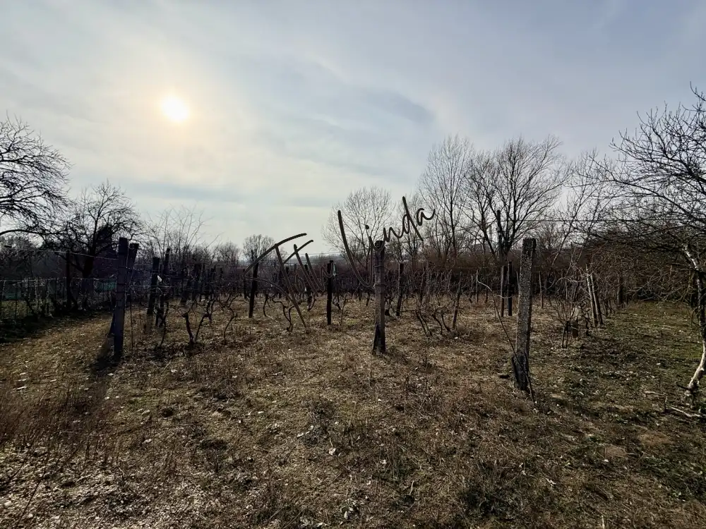 Komárom-Esztergom megye - Oroszlány