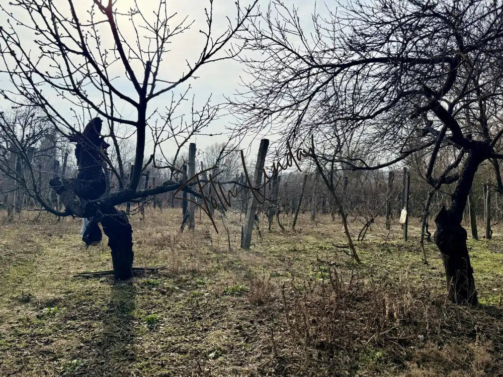 Komárom-Esztergom megye - Oroszlány