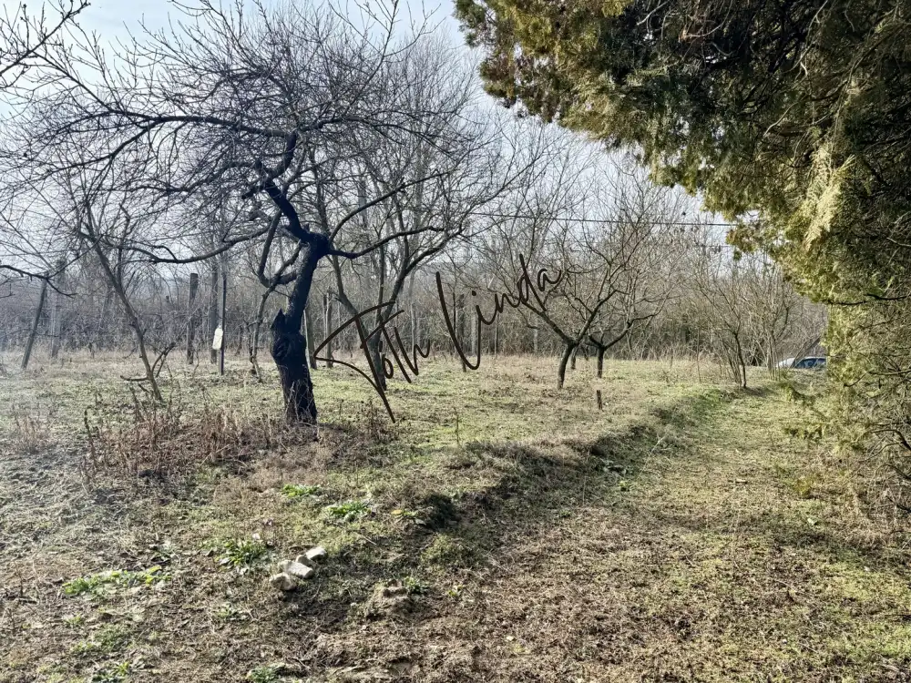 Komárom-Esztergom megye - Oroszlány