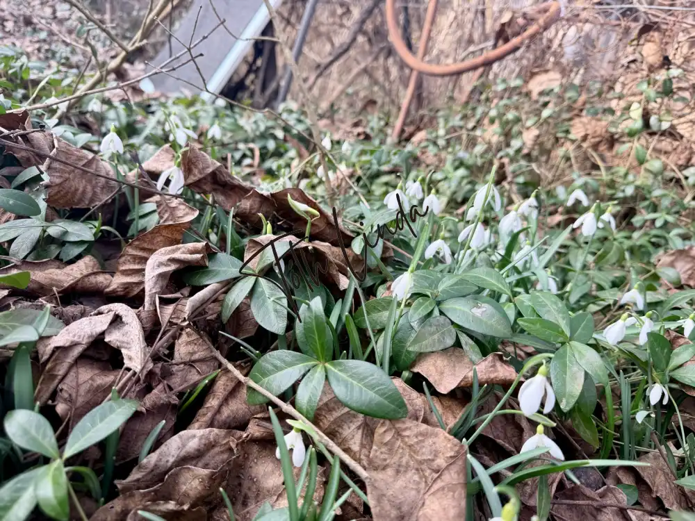 Komárom-Esztergom megye - Oroszlány