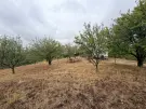Komárom-Esztergom megye - Oroszlány