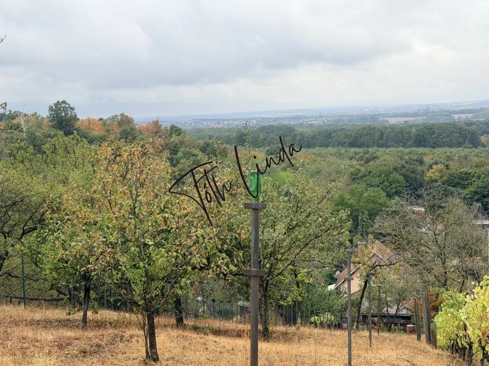 Komárom-Esztergom megye - Oroszlány