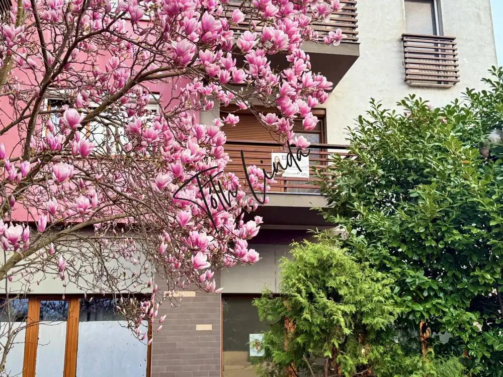 Komárom-Esztergom megye - Oroszlány