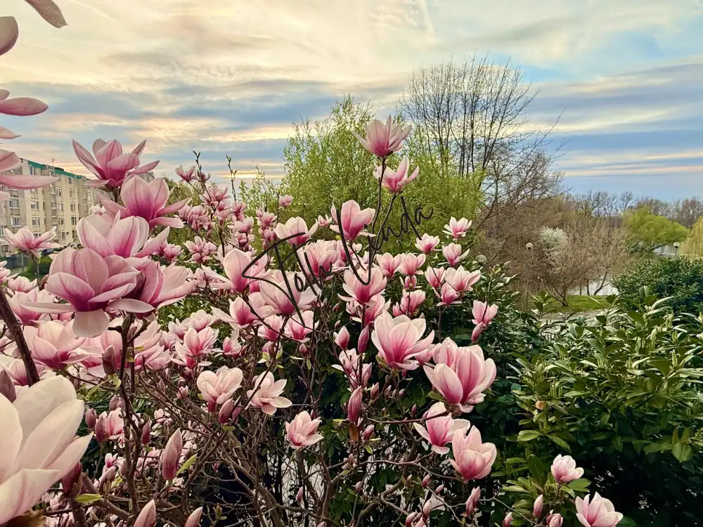 Komárom-Esztergom megye - Oroszlány