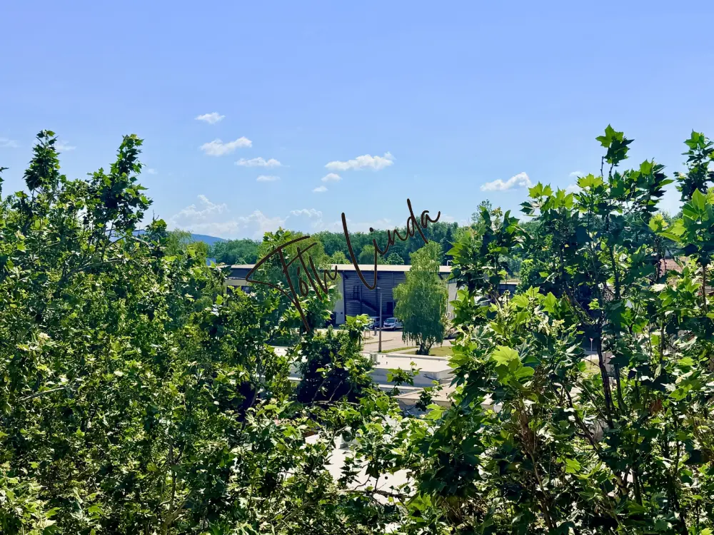 Komárom-Esztergom megye - Oroszlány